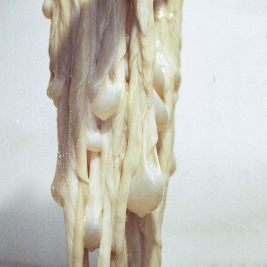 Kathrine Barbro Bendixen turns intestines into lighting, animal parts roundup