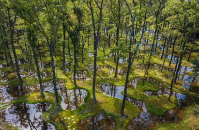 Art Biotop Water Garden by Junya Ishigami