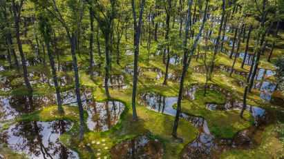This week, sustainability took centre stage at Dutch Design Week