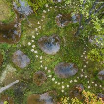 Art Biotop Water Garden by Junya Ishigami
