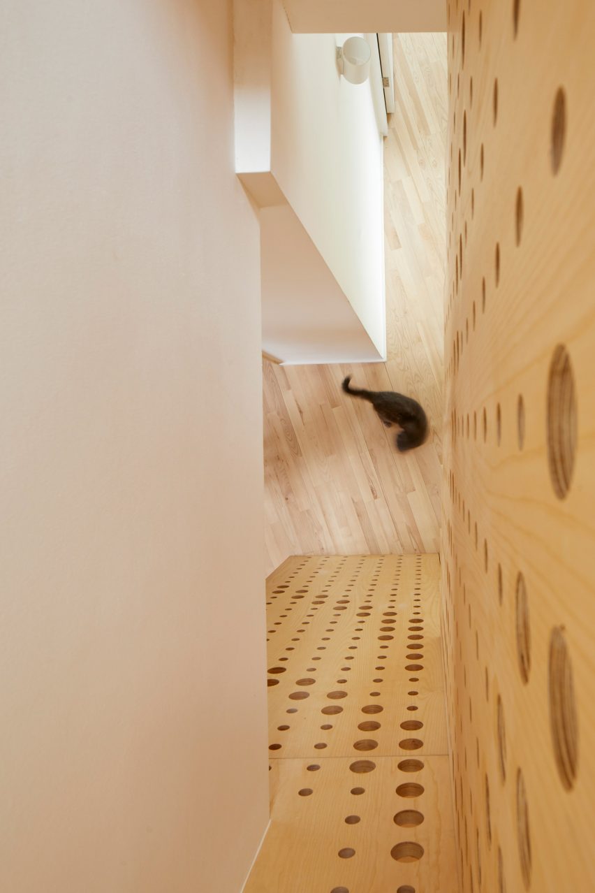 Ash House by R2 Studio Architects