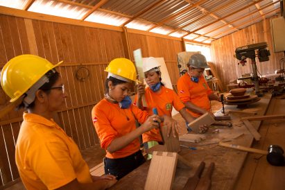 BV Rio Design and Sustainable Wood