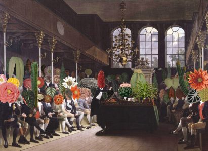 Celine Baumann Parliament of Plants