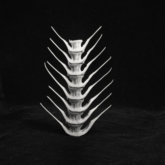 Charlotte Perriand: Inventing a New World at the Fondation Louis Vuitton