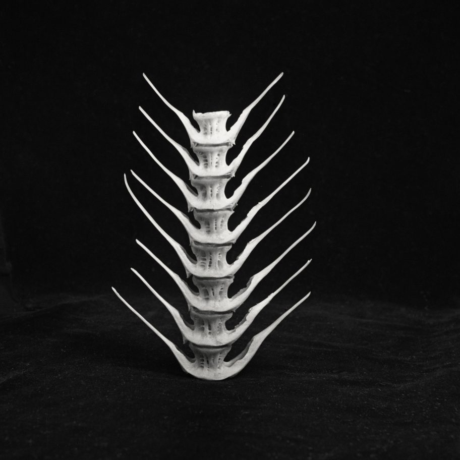 Charlotte Perriand: Inventing a New World at the Fondation Louis Vuitton