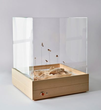 Chiara Tommencioni Pisapia uses moths to transform unwanted clothing into "precious" bio-waste material