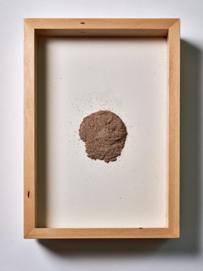 Chiara Tommencioni Pisapia uses moths to transform unwanted clothing into "precious" bio-waste material