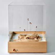 Chiara Tommencioni Pisapia uses moths to transform unwanted clothing into "precious" bio-waste material