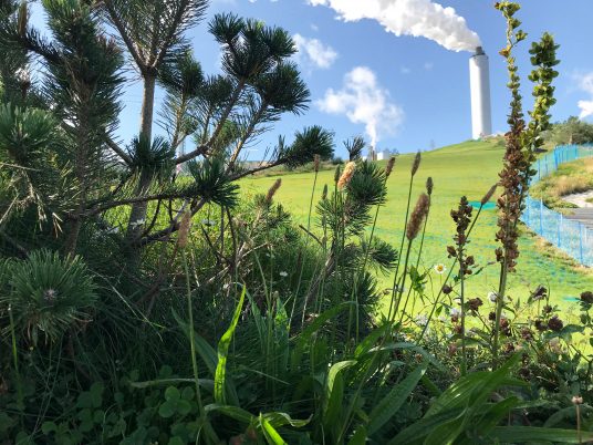 Copenhill waste-to-energy plant and ski slope by BIG in Copenhagen, Denmark