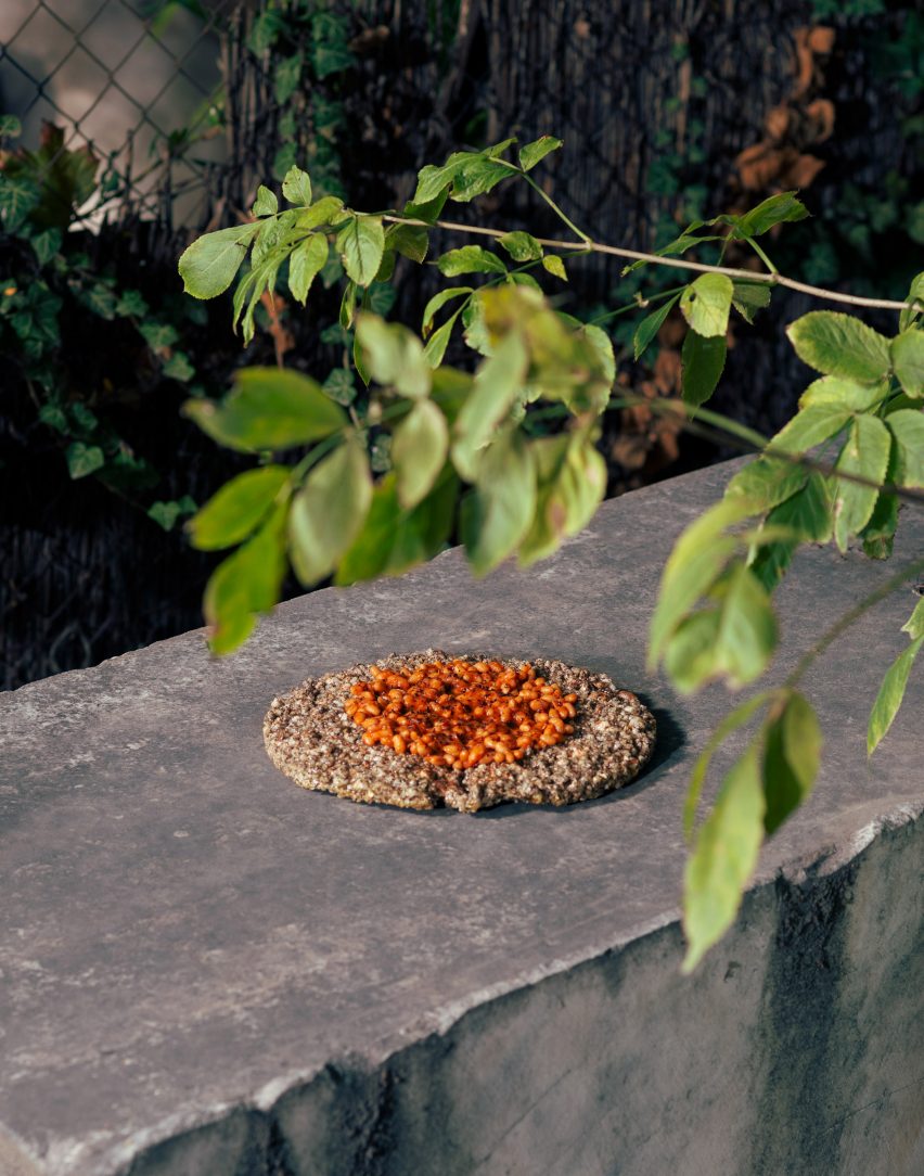 Non-traditional tableware created for Experimental Gastronomy dinner