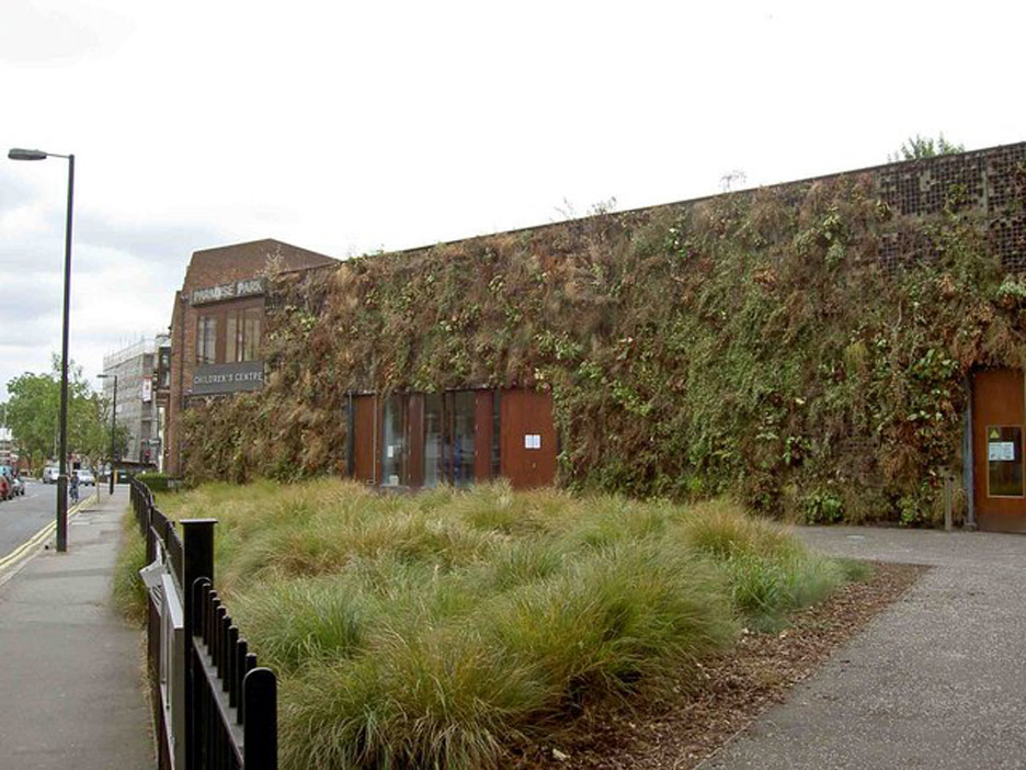 Celine Baumann story, Islington's dead living wall
