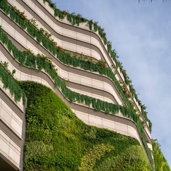 Green wall cascades down K11 Musea shopping centre in Hong Kong
