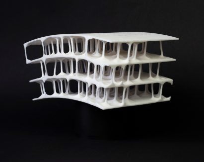 3D printed copy of a crow skull