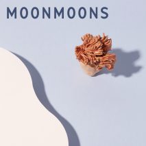 Arthur Carabott's moonmoons AR app immerses listeners in a song