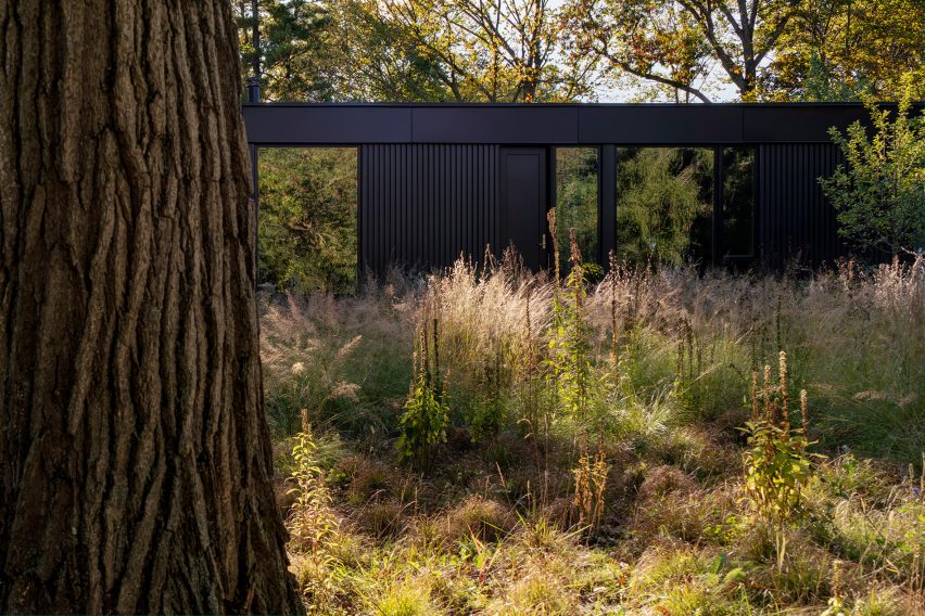 Ravine House by Wheeler Kearns