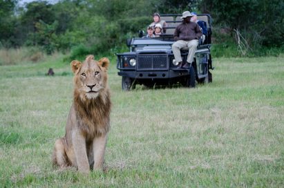 Earth Lodge at Sabi Sabi Private Game Reserve