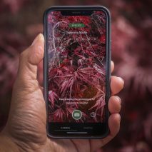 Seek app by WWF and iNaturalist