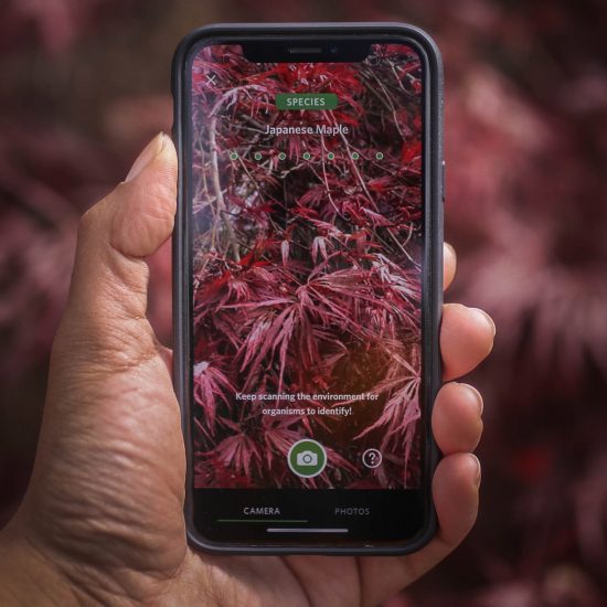 Seek app by WWF and iNaturalist