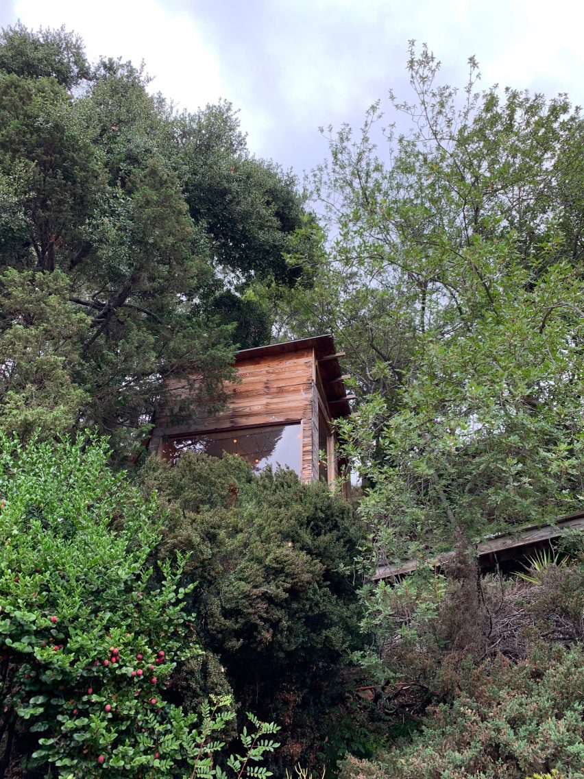 Treehouse Showroom by Raina Lee