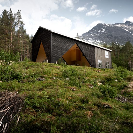 1/3 House by Rever & Drage