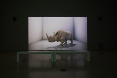 Eco-Visionaries exhibition RA