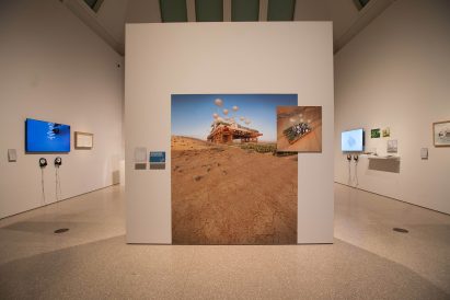 Eco-Visionaries exhibition RA