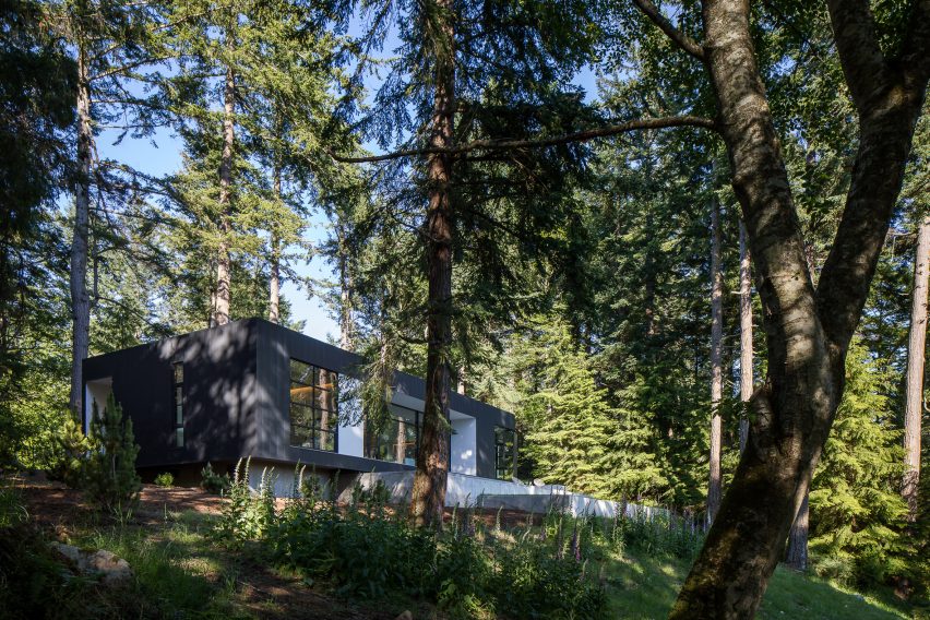Collector's Retreat by Heliotrope