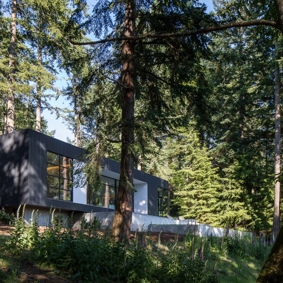 Heliotrope tucks Collector’s Retreat into lush wooded site in coastal Washington