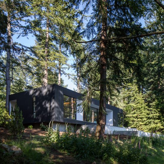 Heliotrope tucks Collector’s Retreat into lush wooded site in coastal Washington