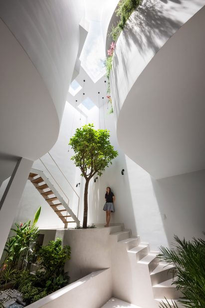 Indoor tree in house in Vietnam