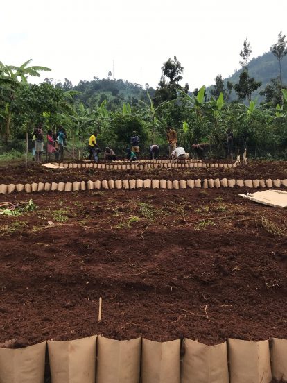 Ecosystem Kickstarter enables farmers to fight soil erosion
