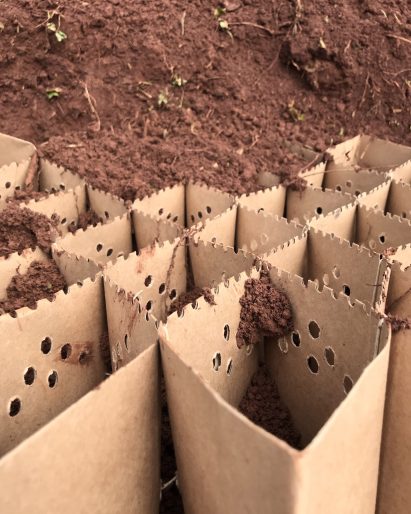 Ecosystem Kickstarter enables farmers to fight soil erosion