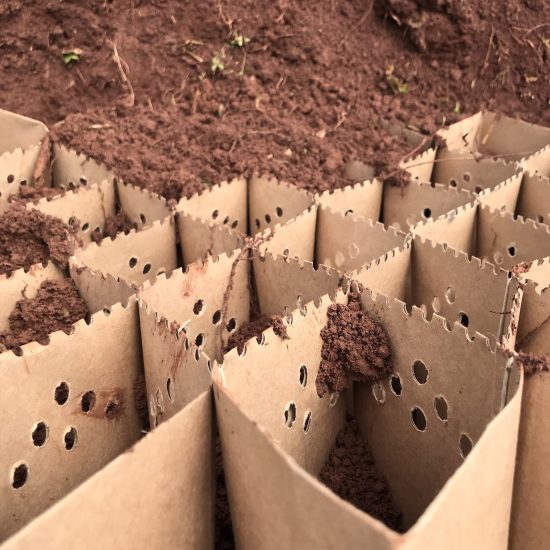 Ecosystem Kickstarter enables farmers to fight soil erosion