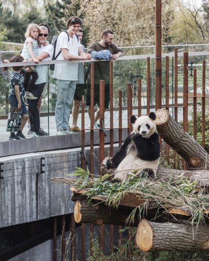 Panda House by BIG at Copenhagen Zoo