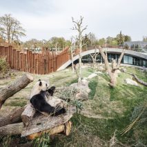Panda House by BIG at Copenhagen Zoo