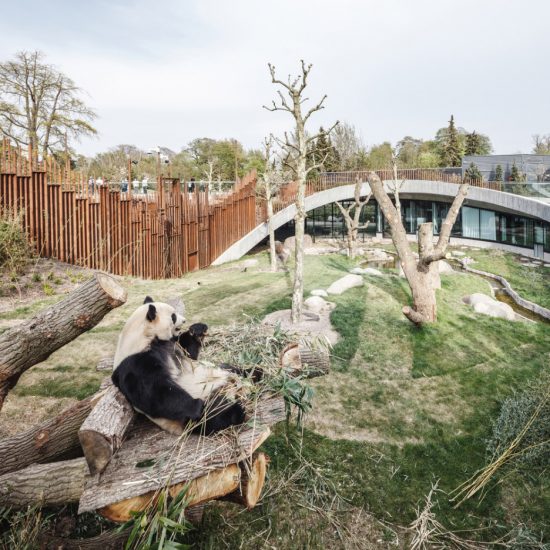 Panda House by BIG at Copenhagen Zoo