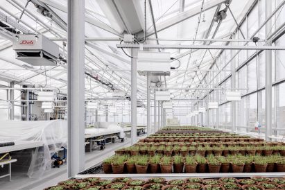 Rooftop Greenhouse offices by Kuehn Malvezzi