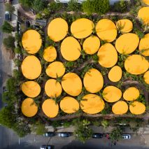 Second Home Hollywood by SelgasCano adds 6,500 plants to former Los Angeles car park