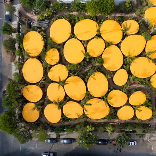 Second Home Hollywood by SelgasCano adds 6,500 plants to former Los Angeles car park