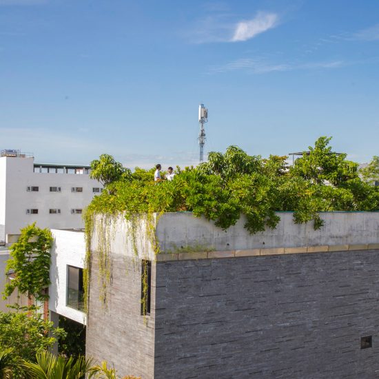 Thang House by Vo Trong Nghia Architects