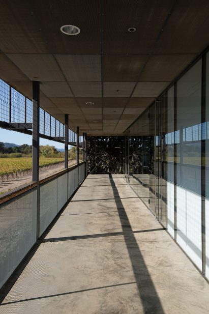 Dominus Estate Photography by Yueqi Jazzy Li