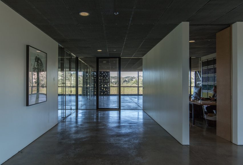 Dominus Estate Photography by Yueqi Jazzy Li