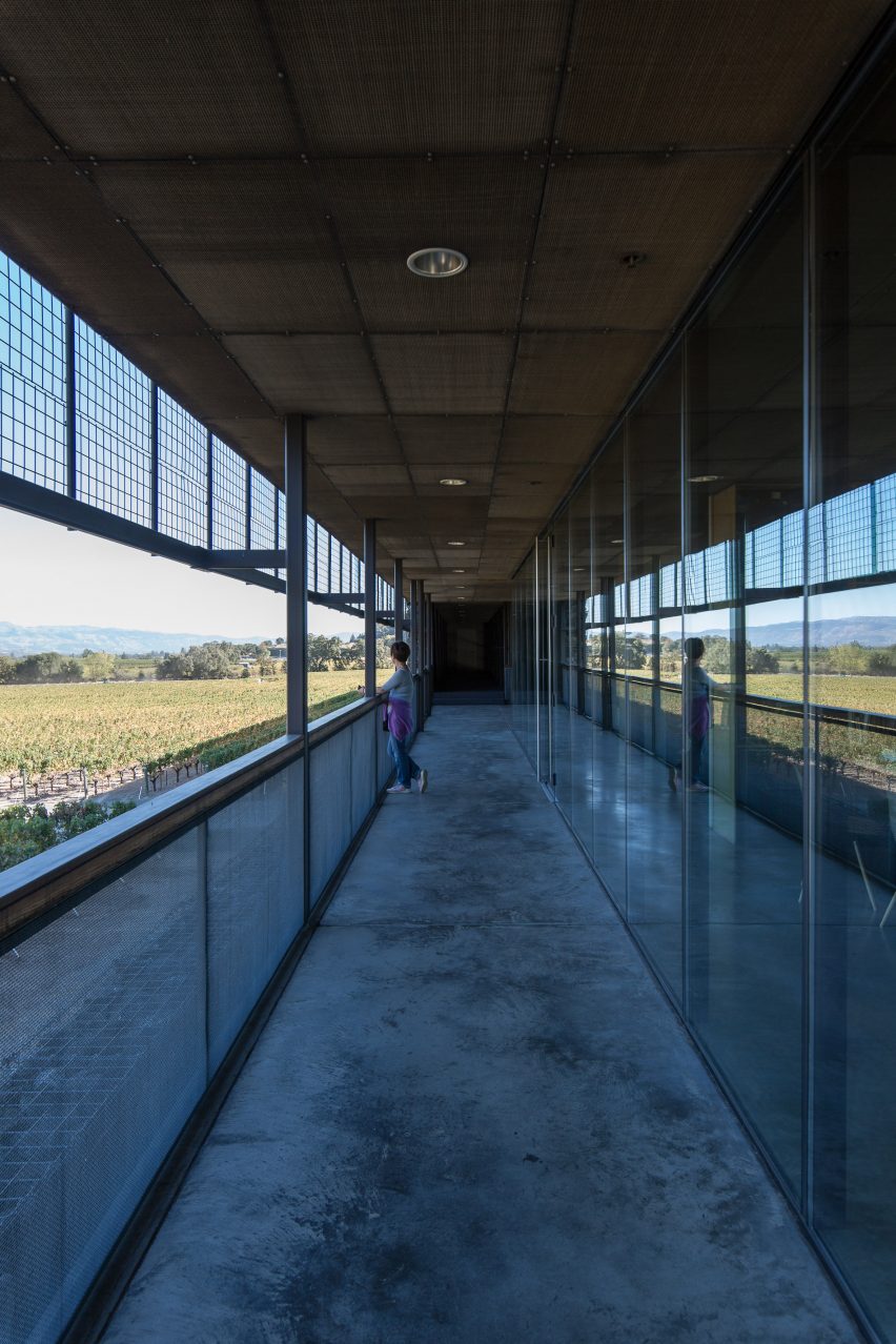 Dominus Estate Photography by Yueqi Jazzy Li