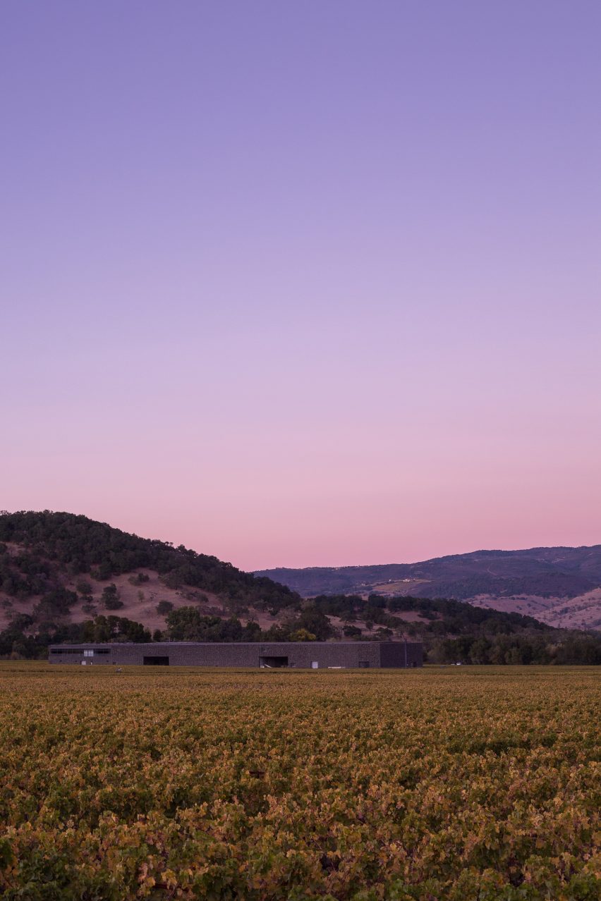 Dominus Estate Photography by Yueqi Jazzy Li