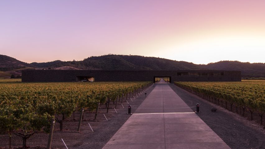 Dominus Estate Photography by Yueqi Jazzy Li