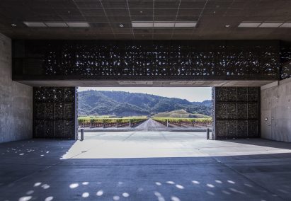 Dominus Estate Photography by Yueqi Jazzy Li