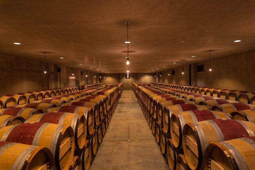 Dominus Estate Photography by Yueqi Jazzy Li