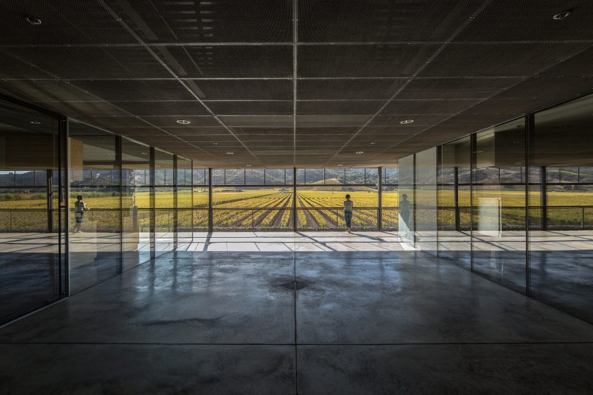 Dominus Estate Photography by Yueqi Jazzy Li