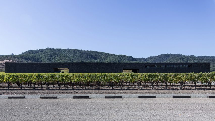 Dominus Estate Photography by Yueqi Jazzy Li