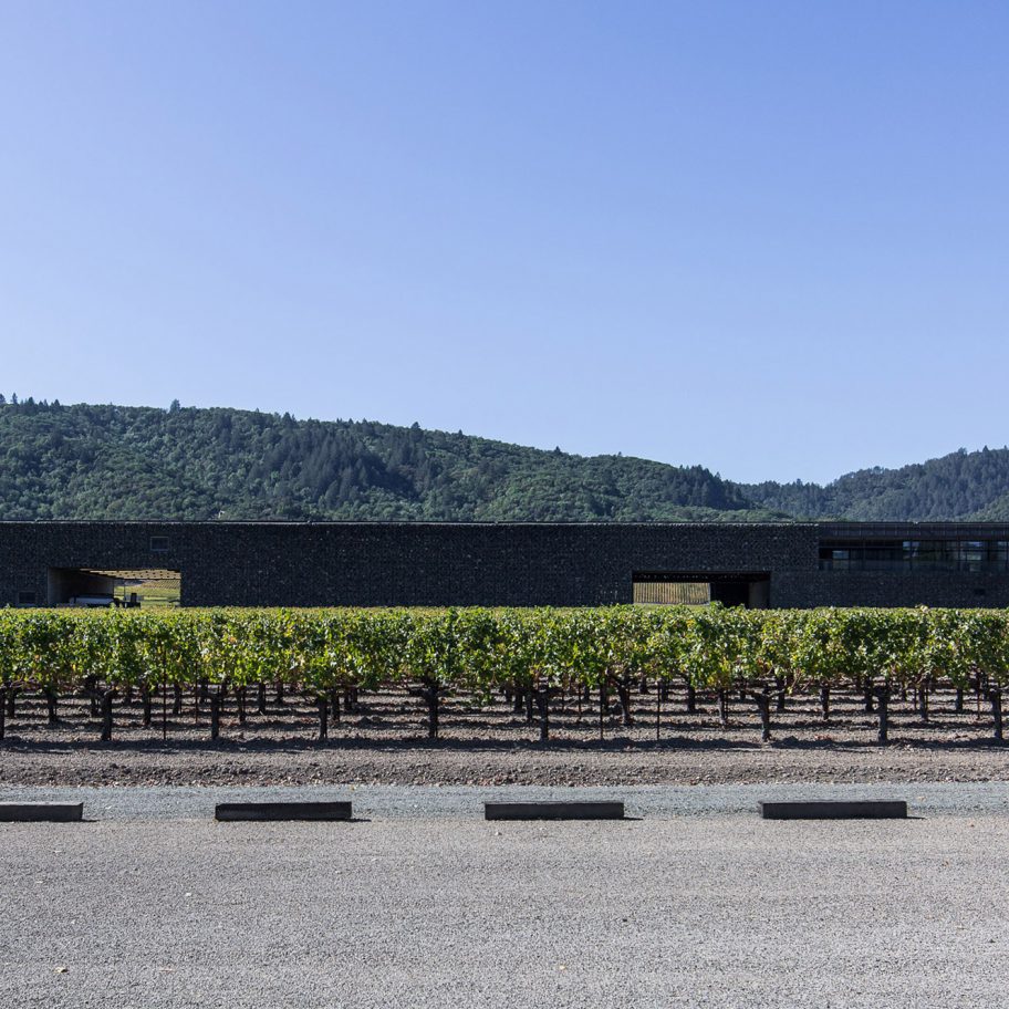 Dominus Estate Photography by Yueqi Jazzy Li